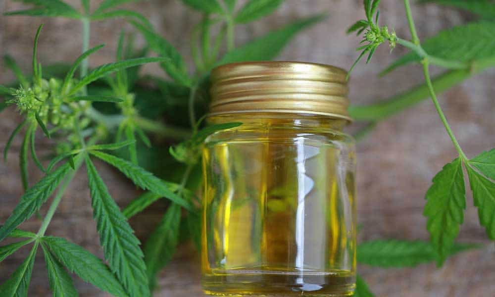 cbd oil